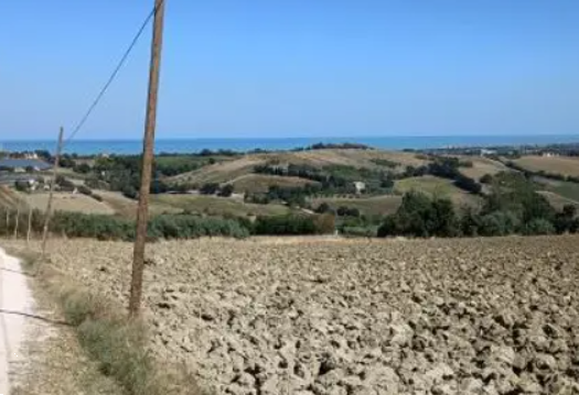 immagine annuncio 10 di 13