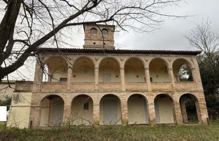 immagine annuncio 3 di 13