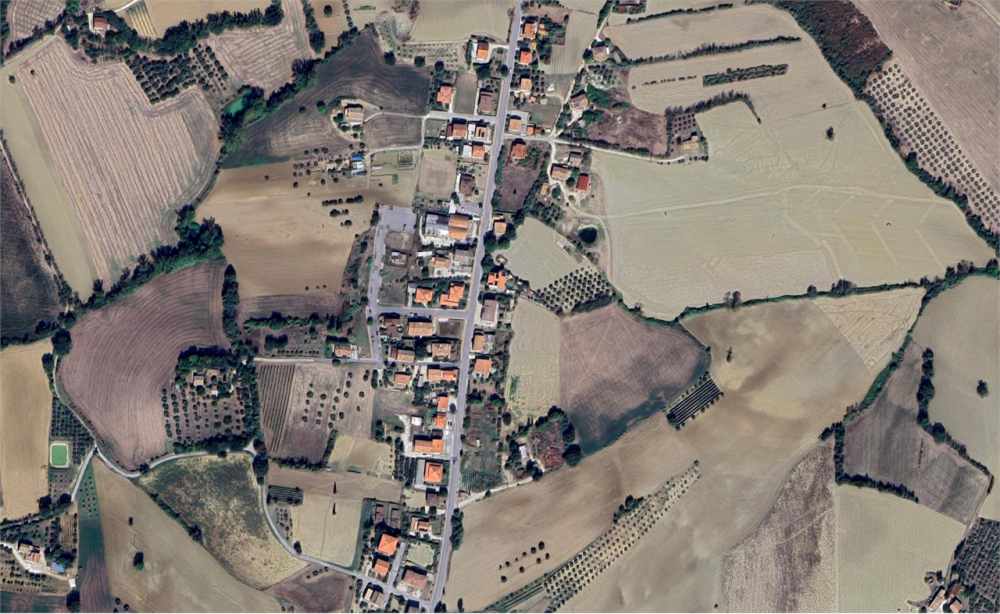 immagine annuncio 10 di 13