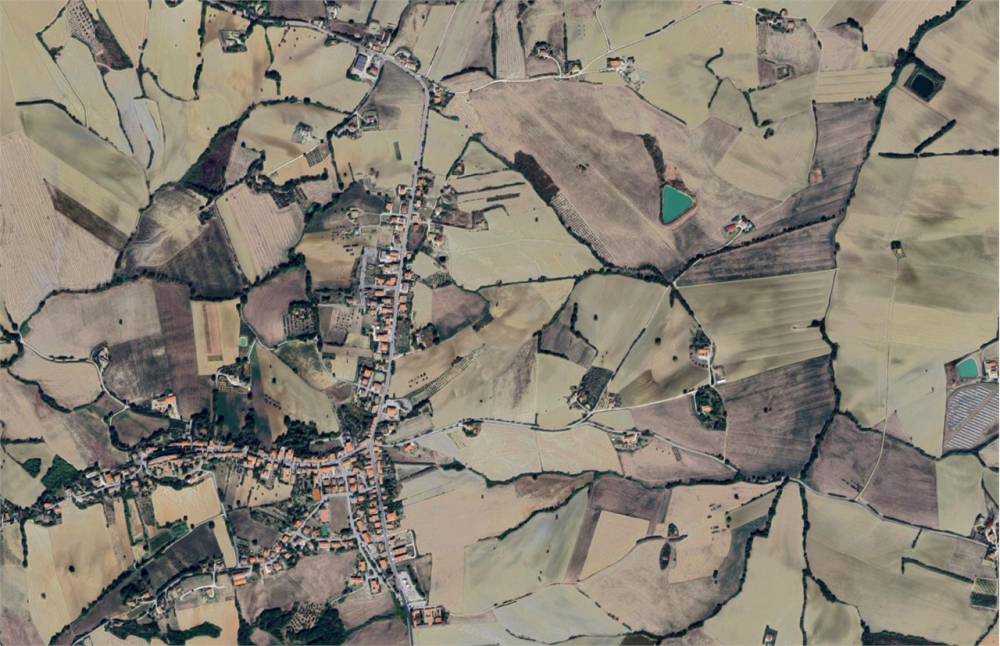 immagine annuncio 11 di 13