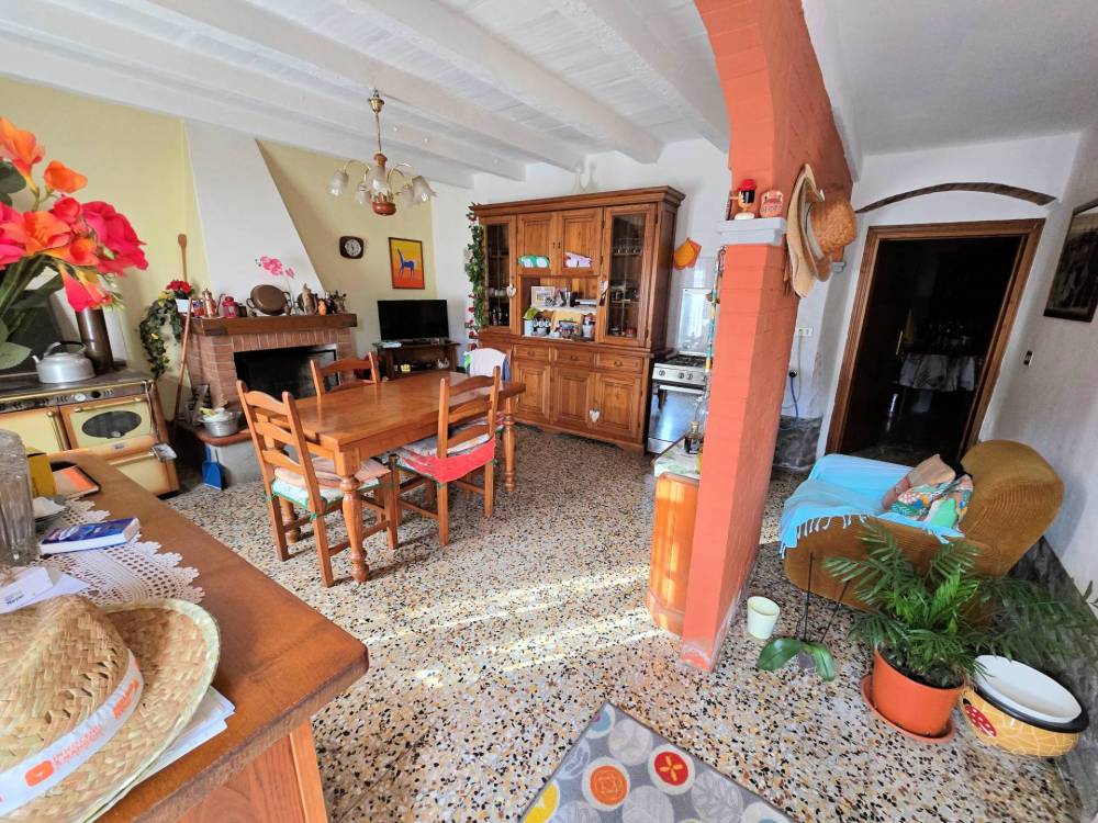 immagine annuncio 12 di 13