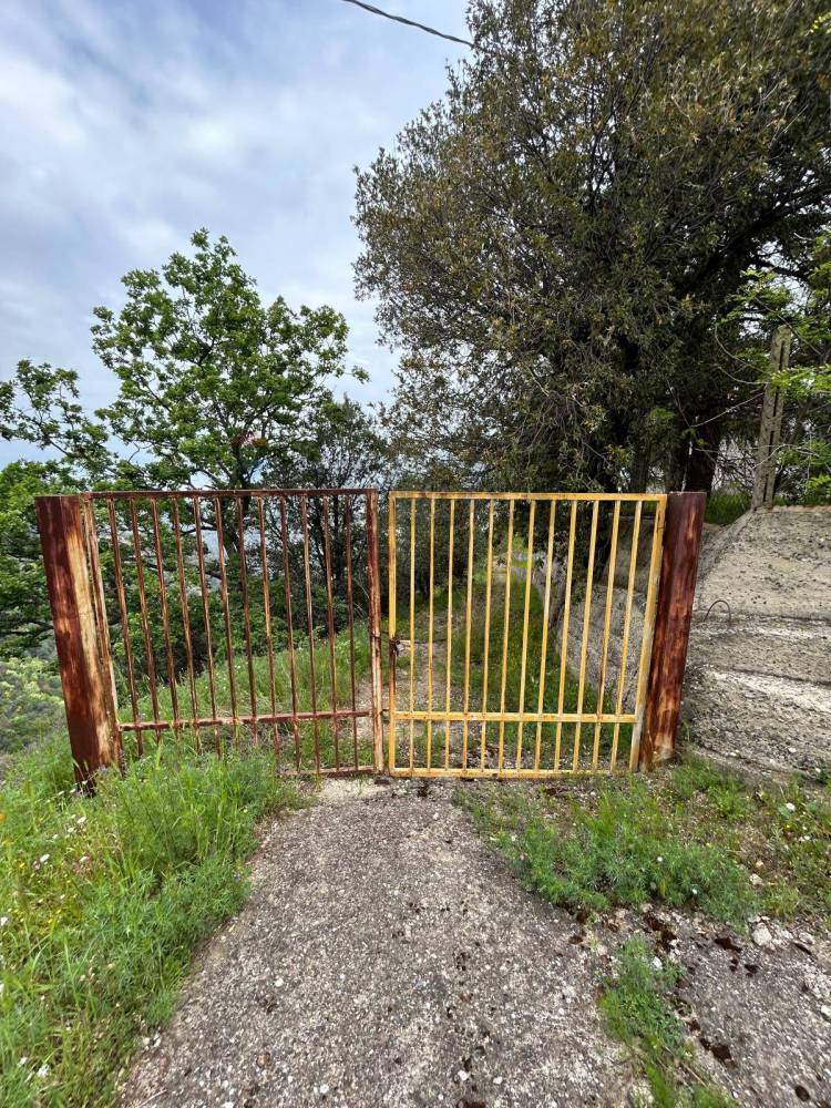 immagine annuncio 10 di 11