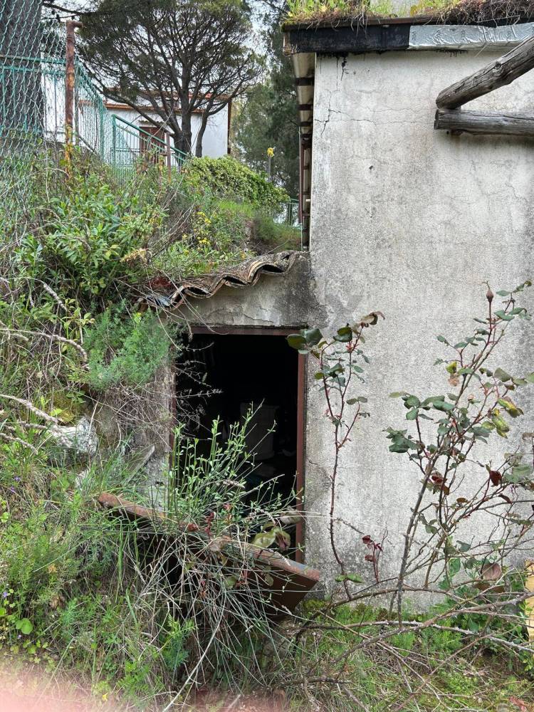 immagine annuncio 7 di 11