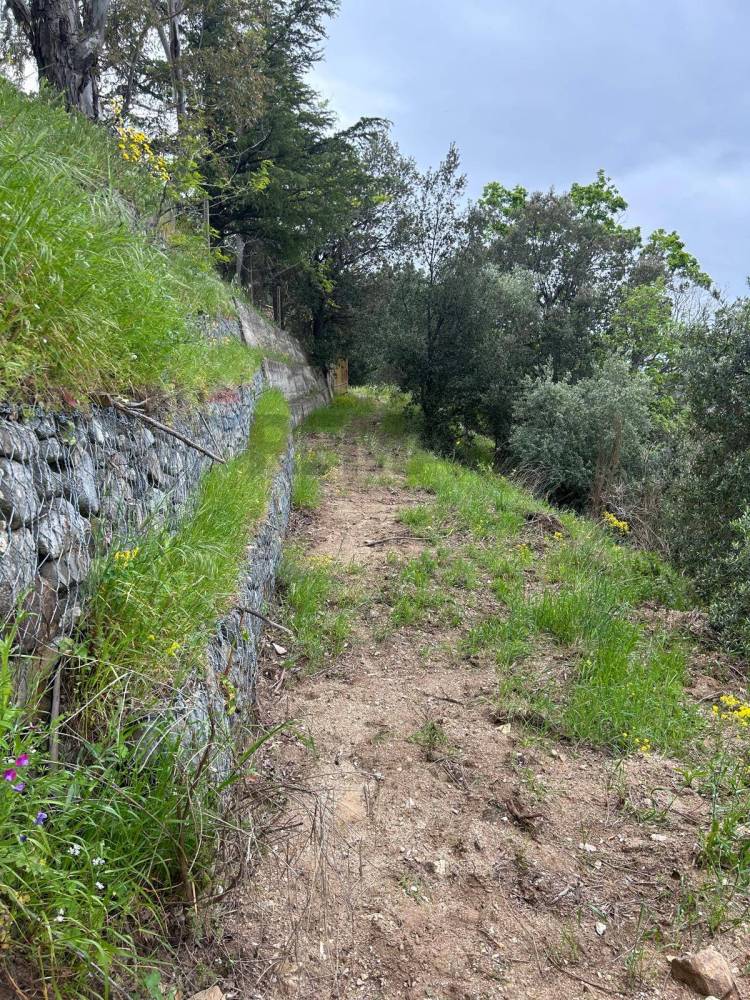 immagine annuncio 8 di 11