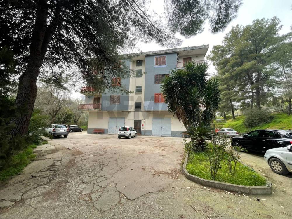 immagine annuncio 2 di 4