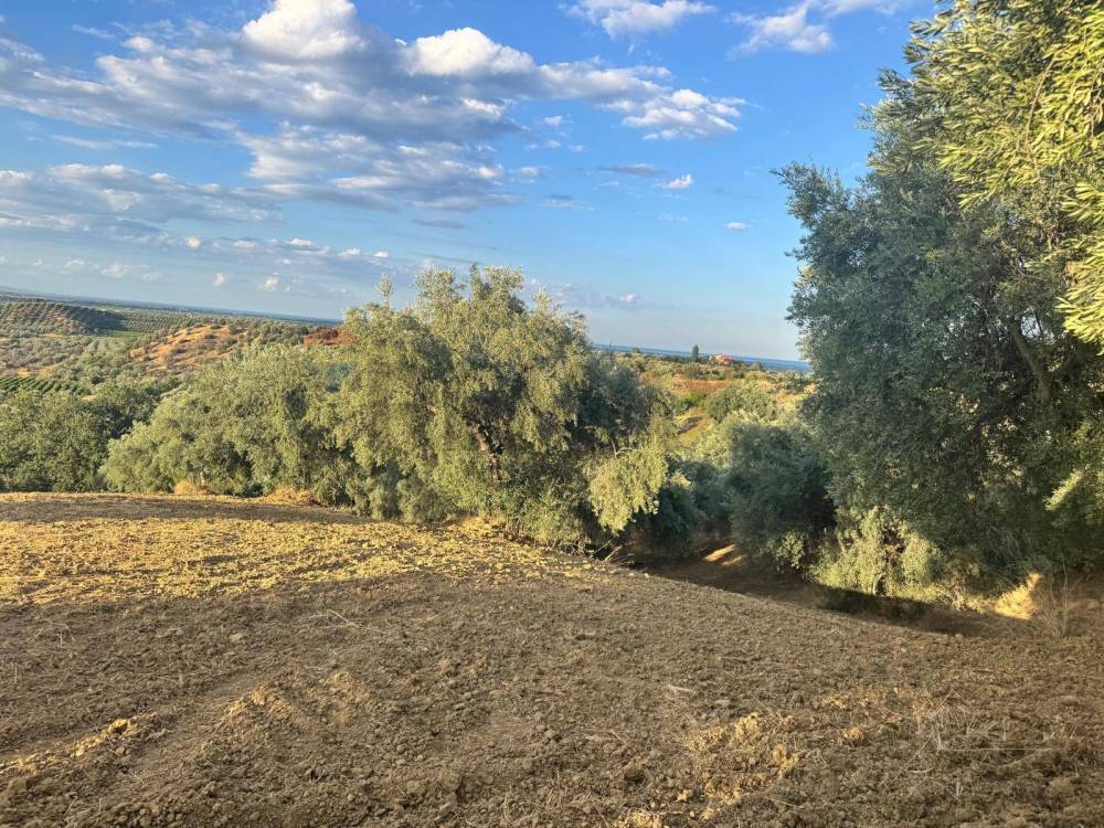 immagine annuncio 8 di 13