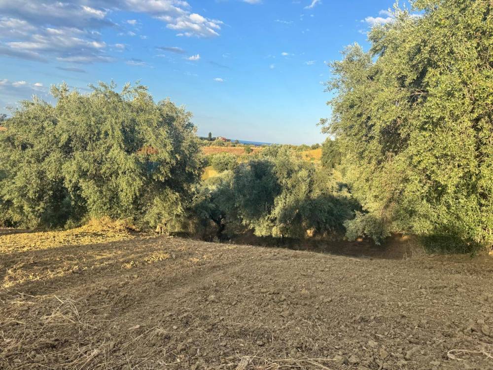 immagine annuncio 11 di 13