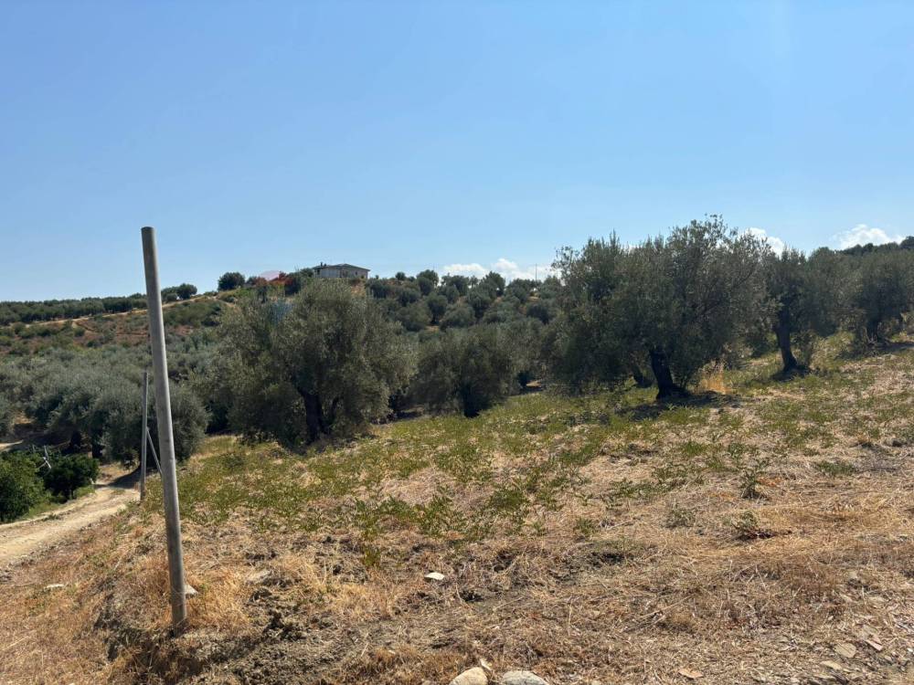 immagine annuncio 3 di 8