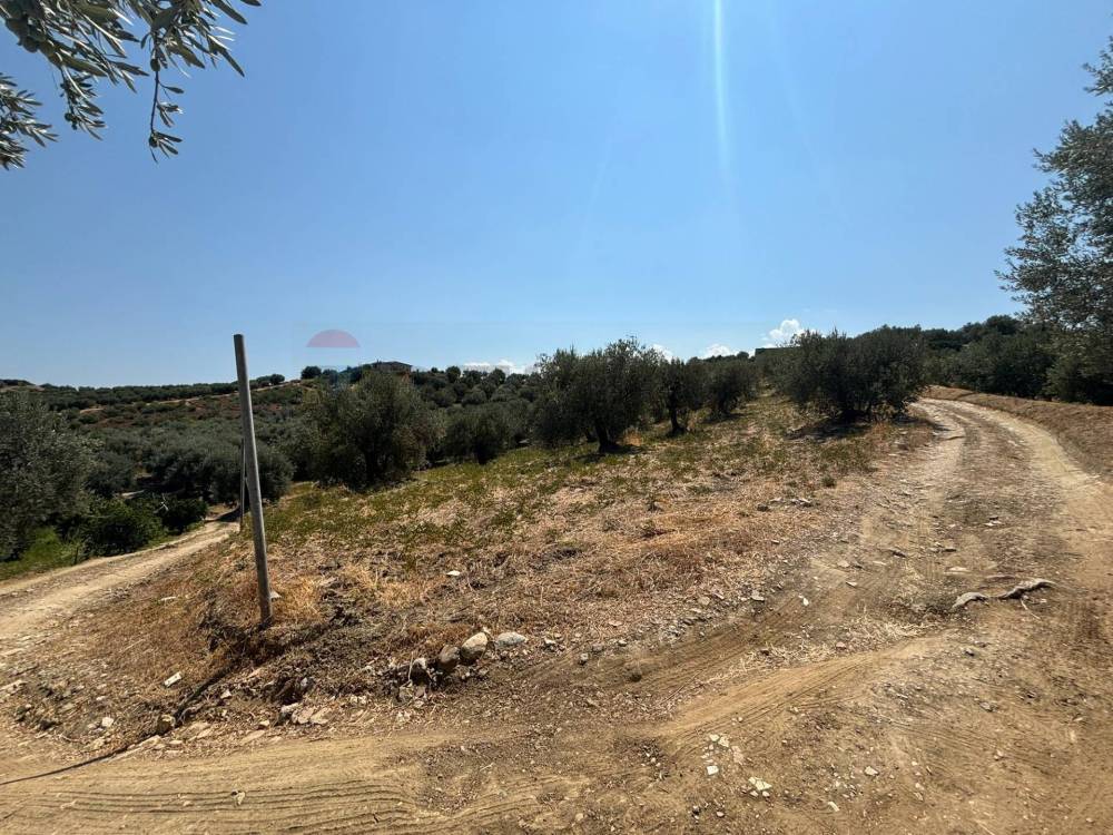 immagine annuncio 4 di 8