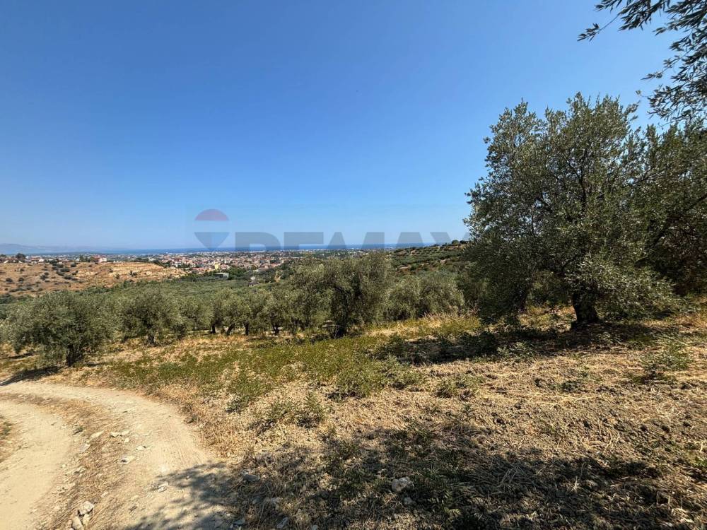 immagine annuncio 7 di 8