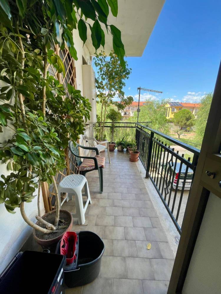 immagine annuncio 12 di 13