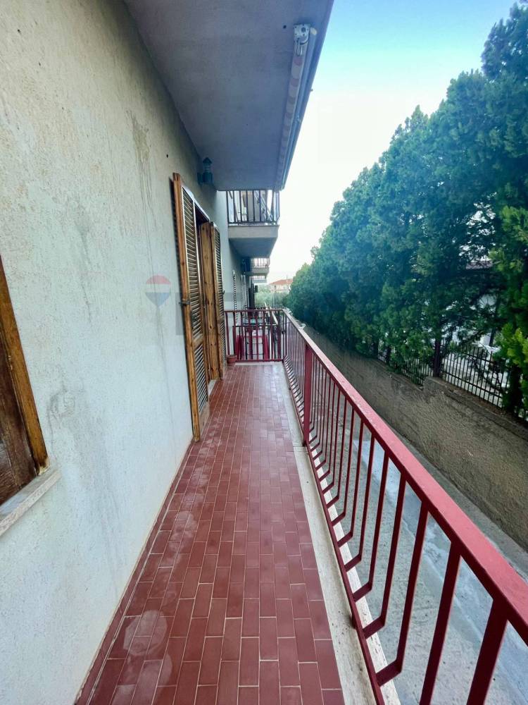 immagine annuncio 12 di 13