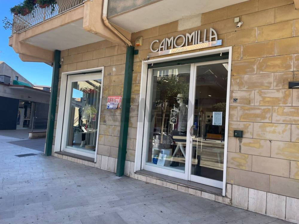 immagine annuncio 1 di 13