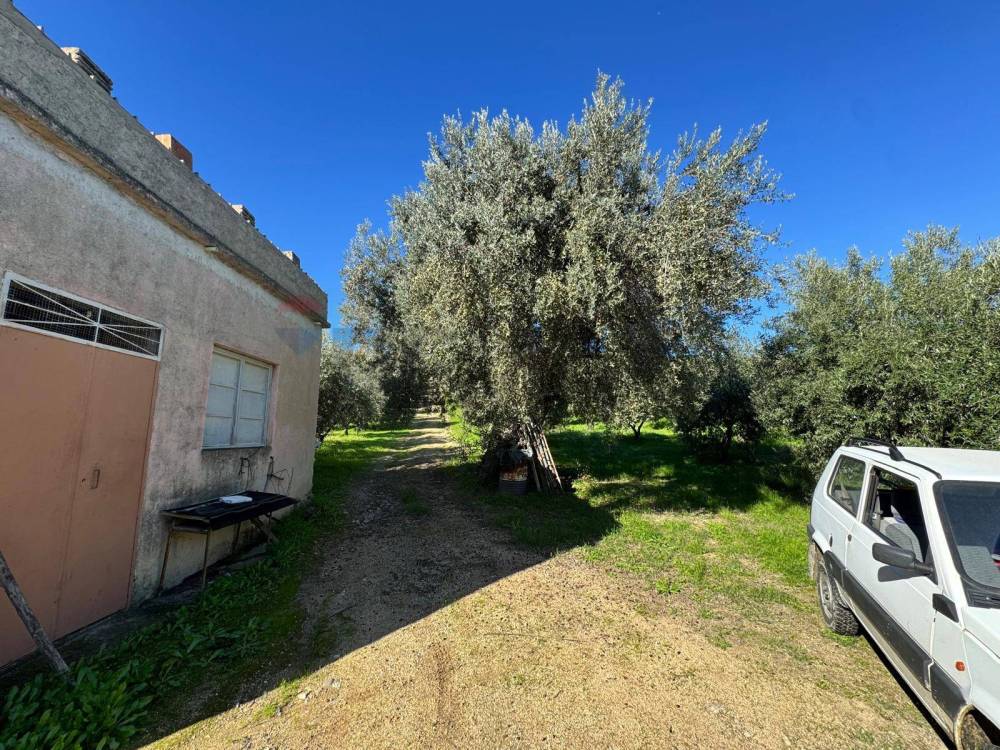 immagine annuncio 9 di 13