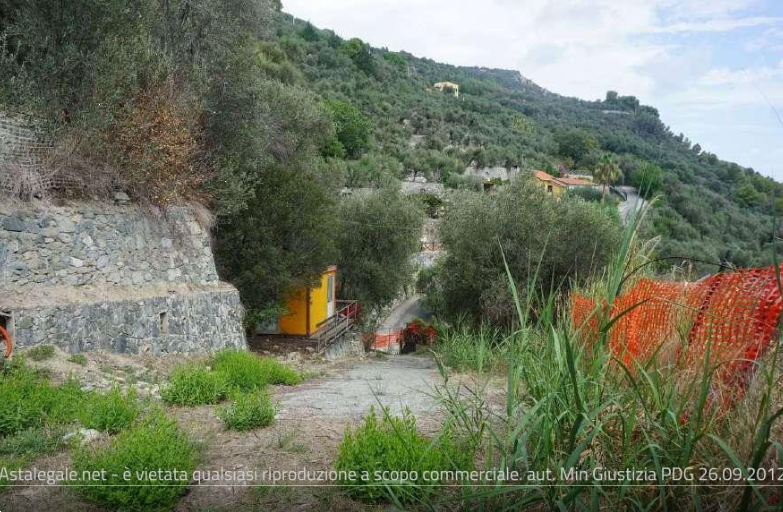 immagine annuncio 3 di 13