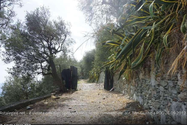 immagine annuncio 7 di 13