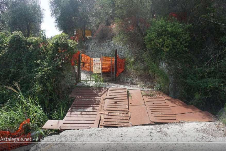 immagine annuncio 9 di 13