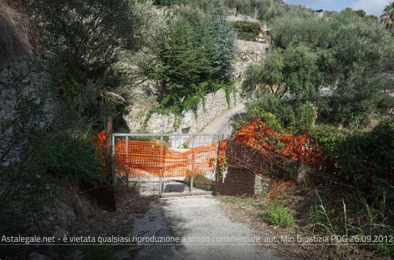 immagine annuncio 10 di 13