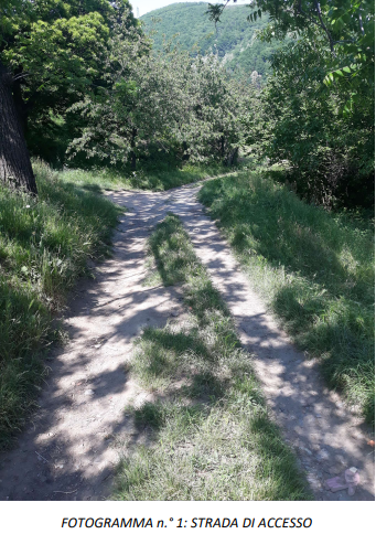 immagine annuncio 5 di 8