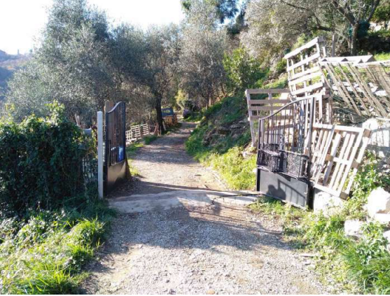 immagine annuncio 4 di 13