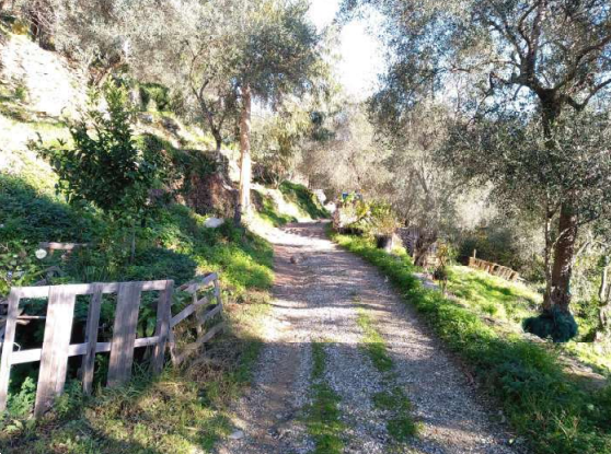 immagine annuncio 5 di 13