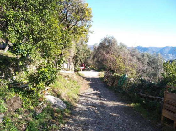 immagine annuncio 6 di 13