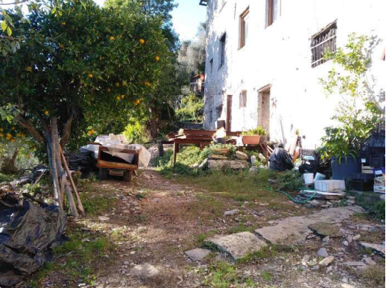 immagine annuncio 7 di 13