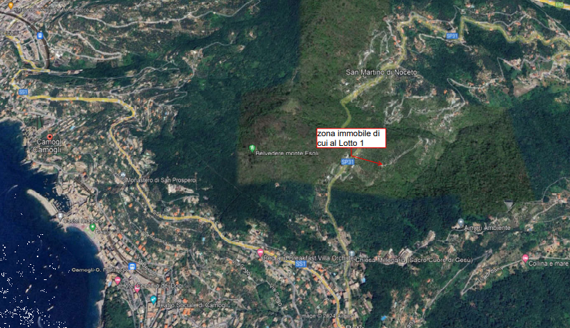 immagine annuncio 11 di 13