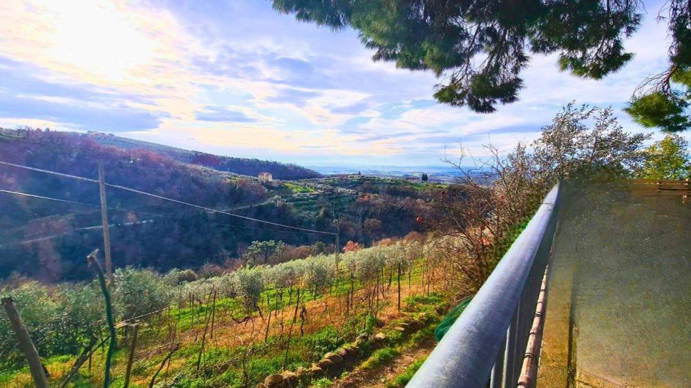 immagine annuncio 5 di 13