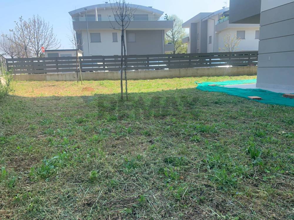 immagine annuncio 9 di 13