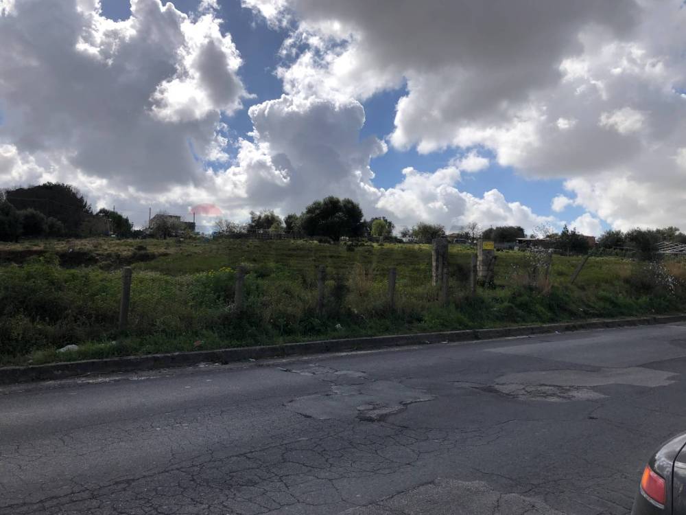 immagine annuncio 4 di 6