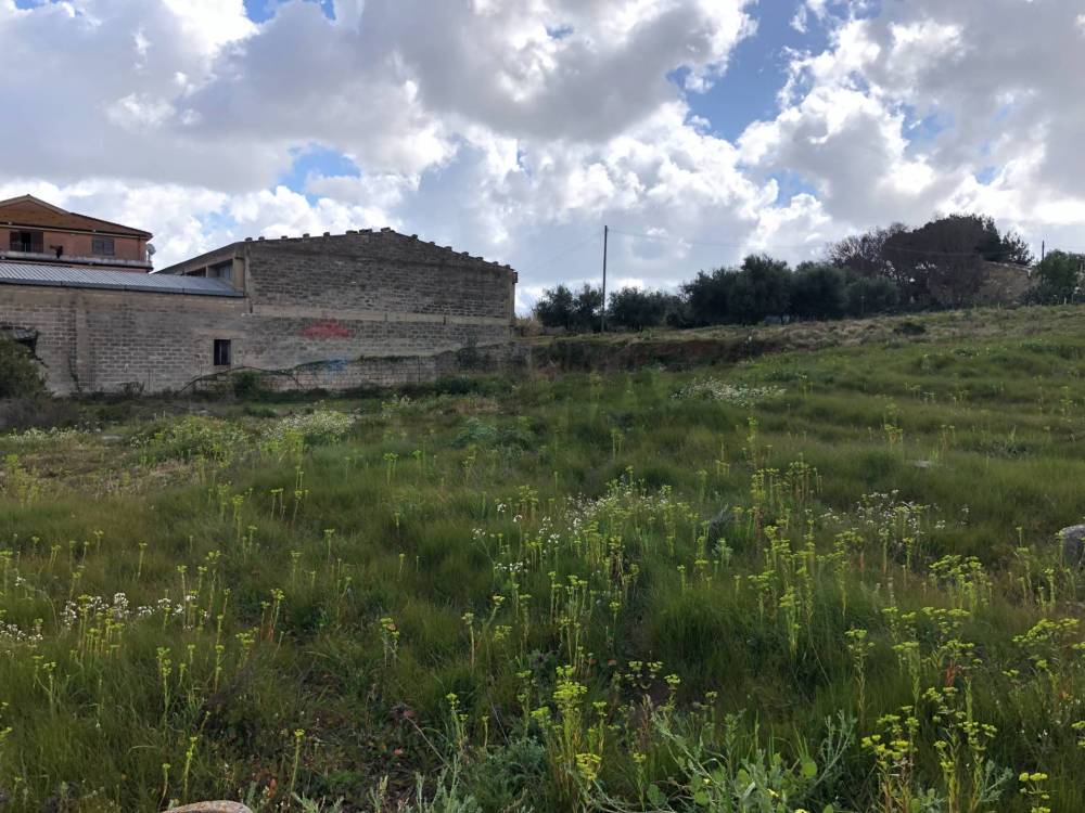 immagine annuncio 1 di 6