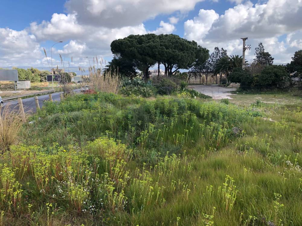 immagine annuncio 2 di 6