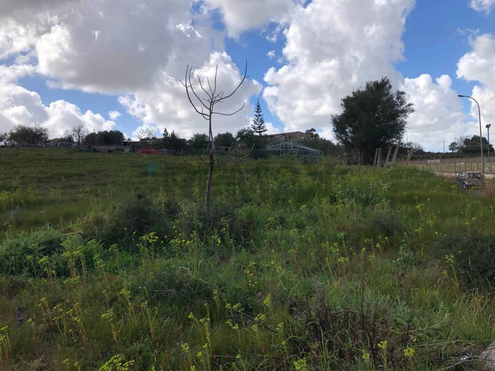 immagine annuncio 3 di 6