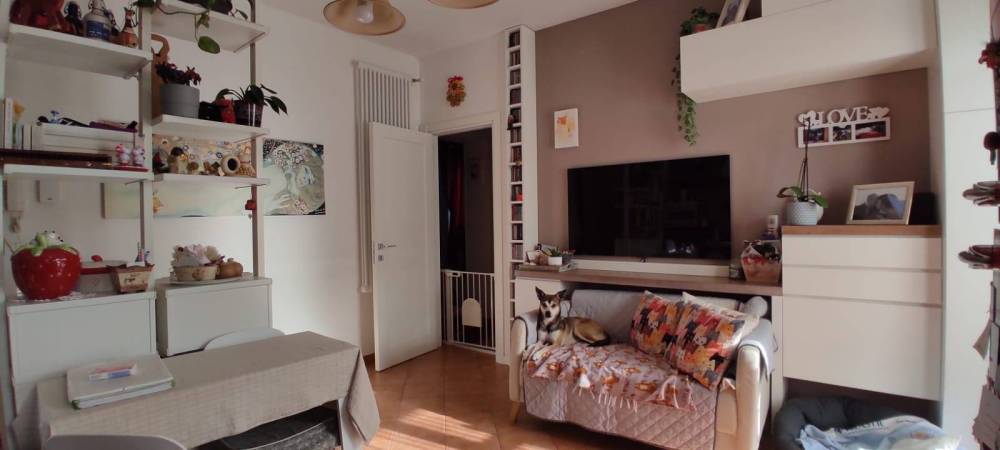 immagine annuncio 11 di 13