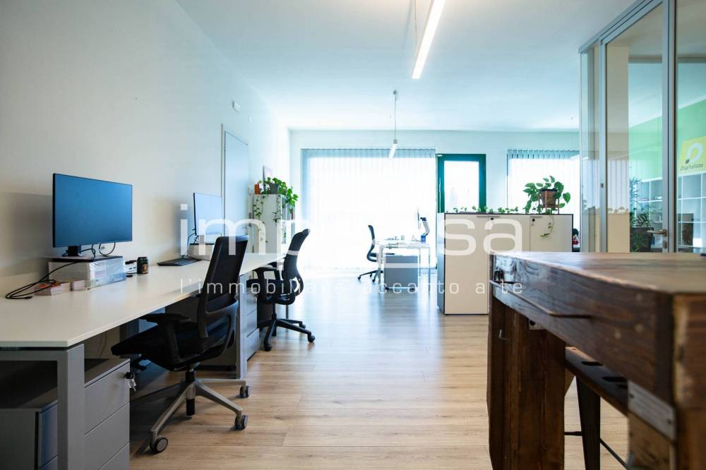 immagine annuncio 4 di 12