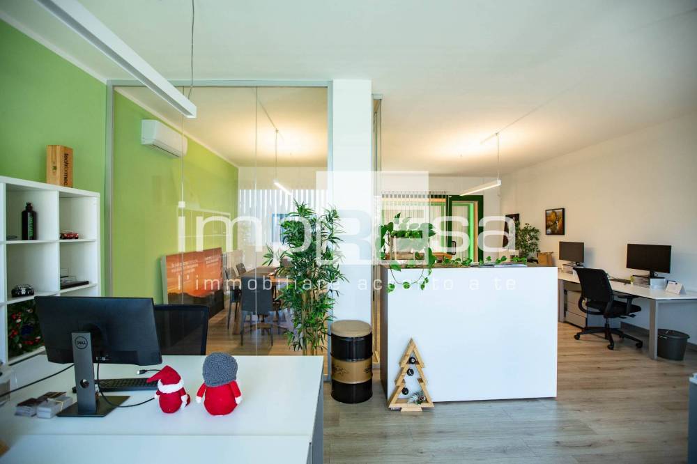 immagine annuncio 2 di 12