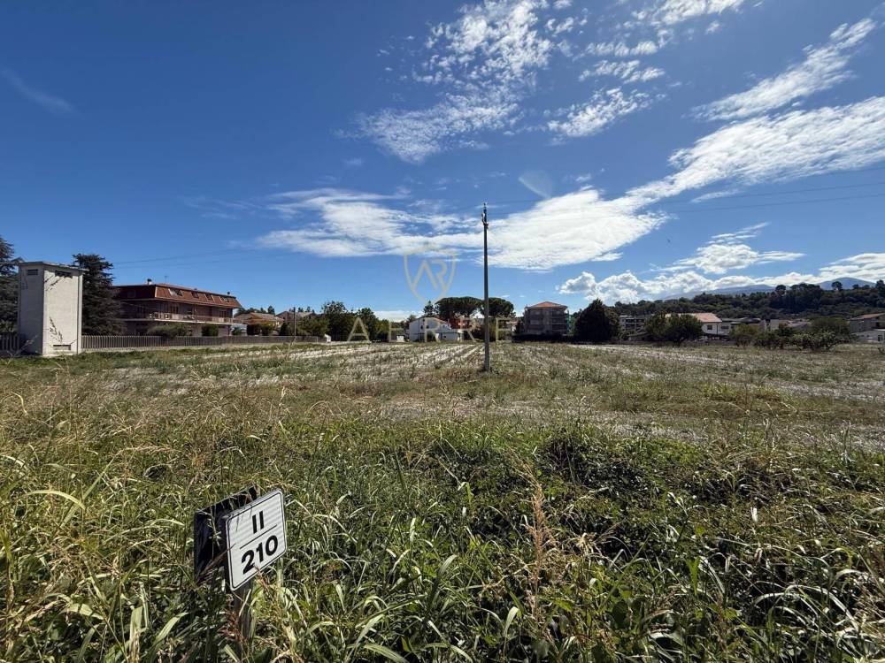 immagine annuncio 10 di 13