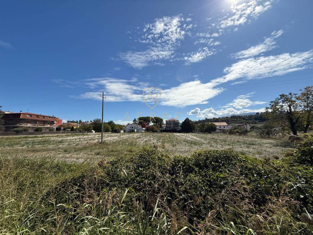 immagine annuncio 11 di 13