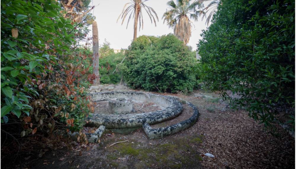 immagine annuncio 6 di 13