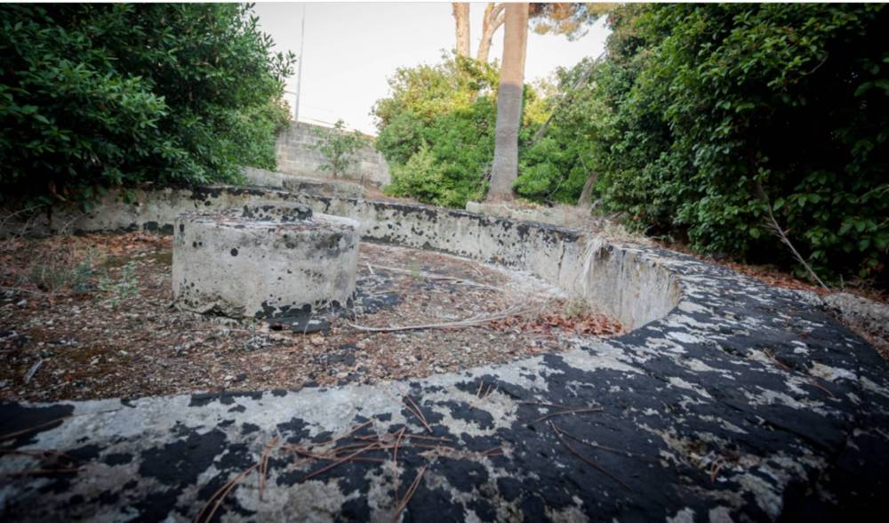 immagine annuncio 7 di 13