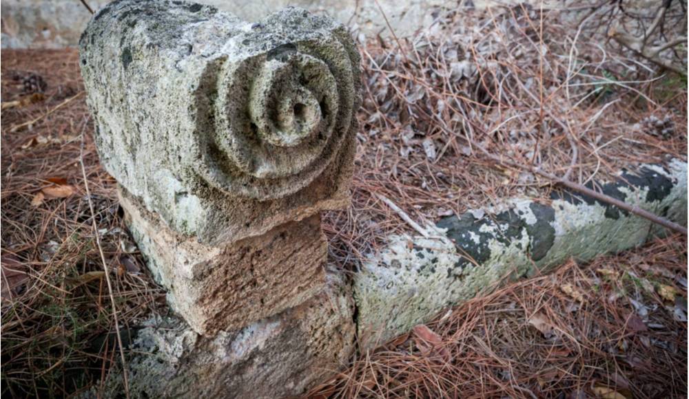 immagine annuncio 10 di 13