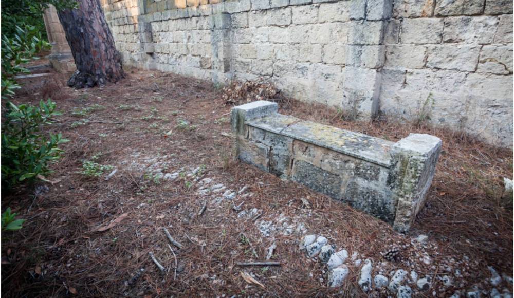 immagine annuncio 12 di 13