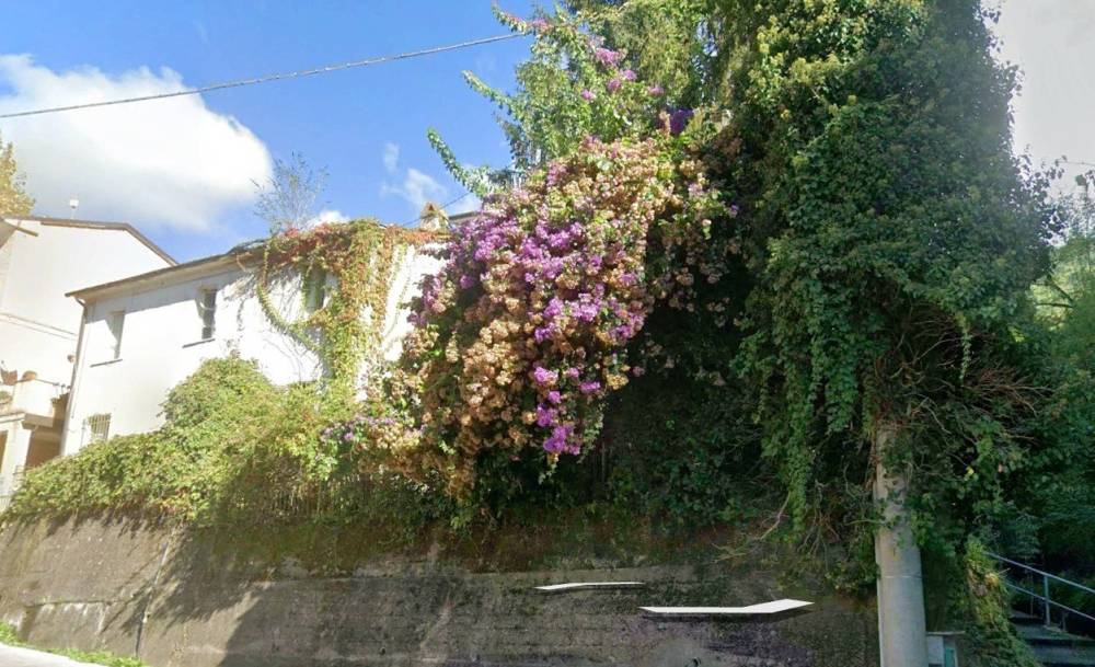 immagine annuncio 4 di 13