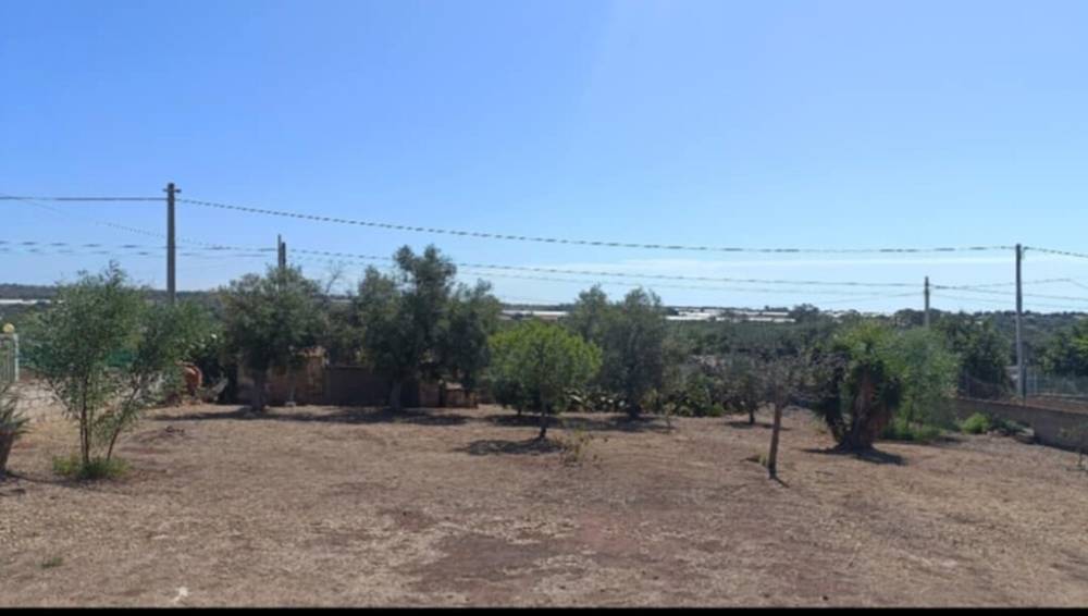 immagine annuncio 4 di 13