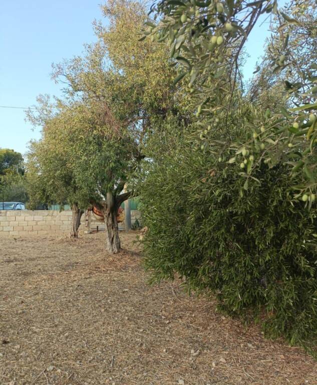 immagine annuncio 5 di 13