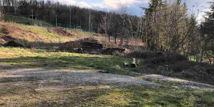 immagine annuncio 3 di 12