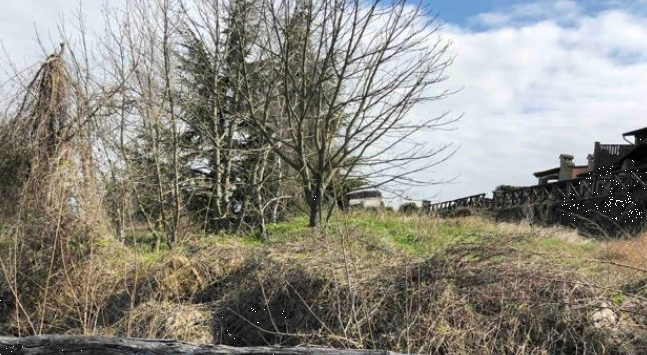 immagine annuncio 1 di 13