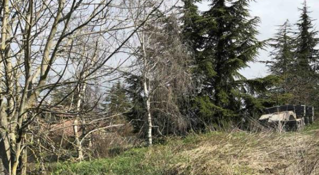 immagine annuncio 3 di 13