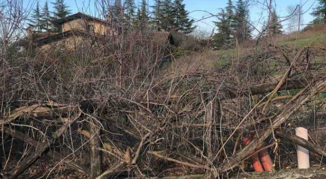 immagine annuncio 4 di 13